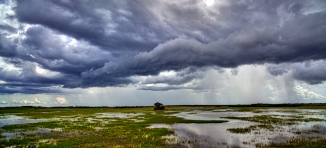 Panoramic South of Tamiami on the Western Edge of the P