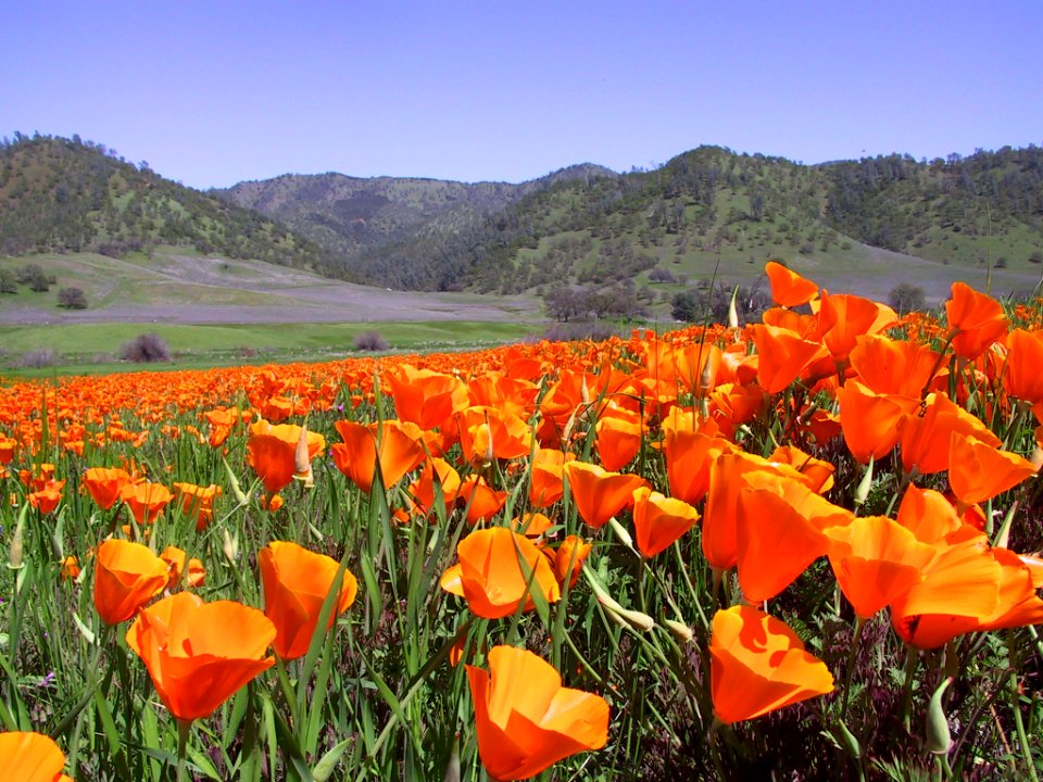 Cache Creek Natural Area
