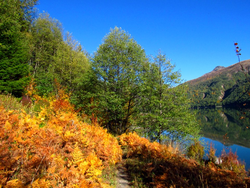 Coldwater Lake Trail at Mt. St. Helens