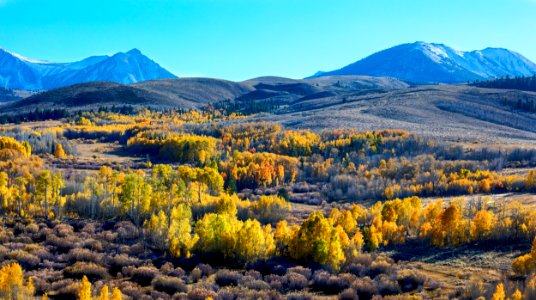 Conway Summit Area of Critical Environmental Concern