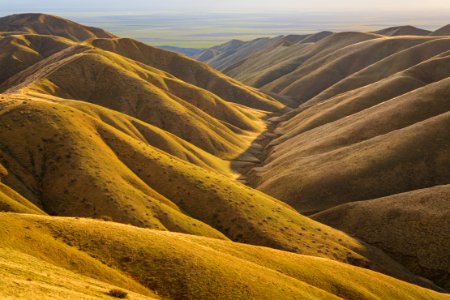 Panoche Hills photo