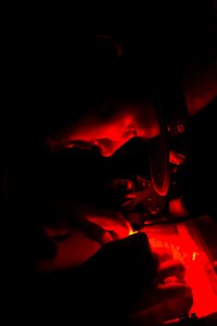 Bethany Beach Firefly Survey - 2019