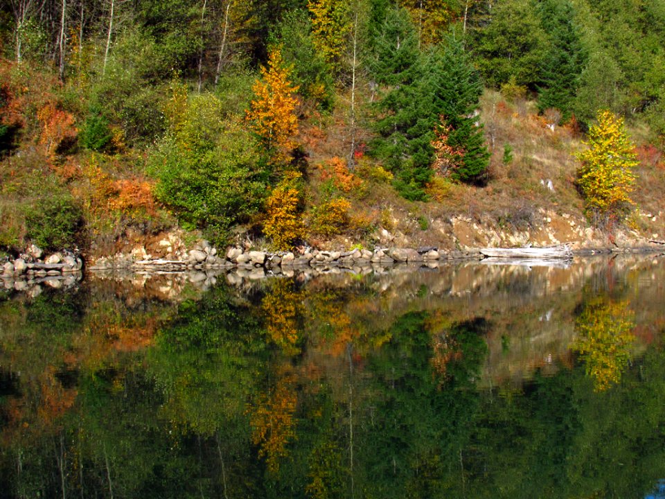 Coldwater Lake Trail at Mt. St. Helens