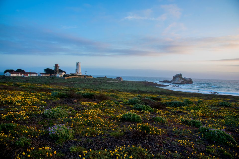 Piedras Blancas Outstanding Natural Area, part of the California Coastal National Monument