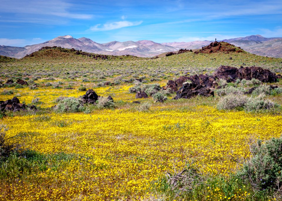 Fossil Falls, Ridgecrest Field Office