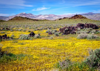 Fossil Falls, Ridgecrest Field Office