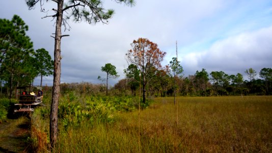 Swamp Buggy on Concho Billie ORV photo