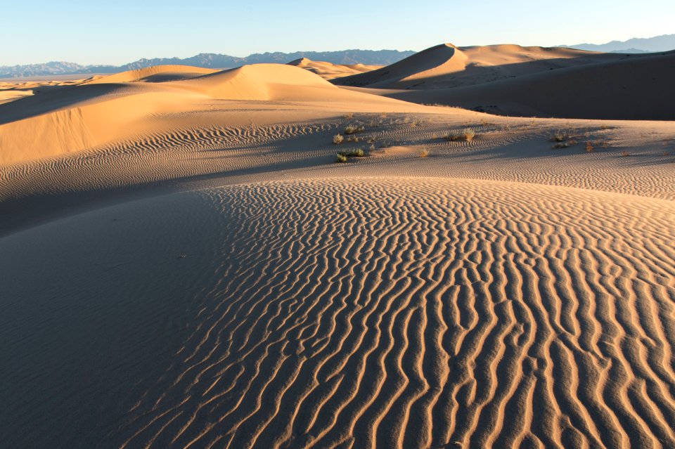 Cadiz Dunes Wilderness