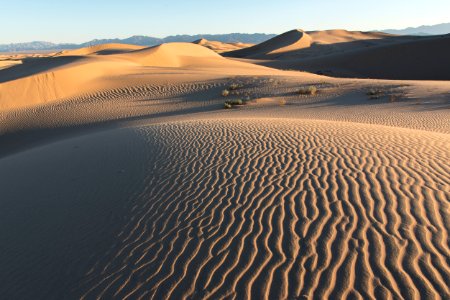 Cadiz Dunes Wilderness