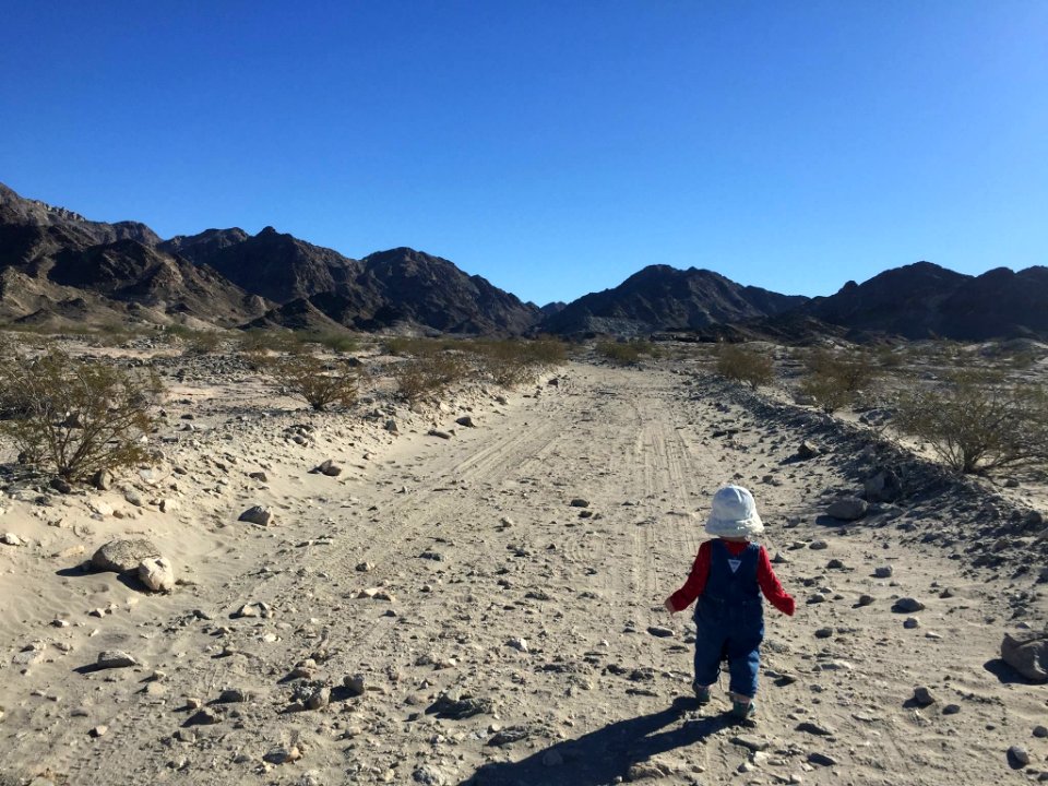 Tumco Hike for National Public Lands Day in El Centro Field Office