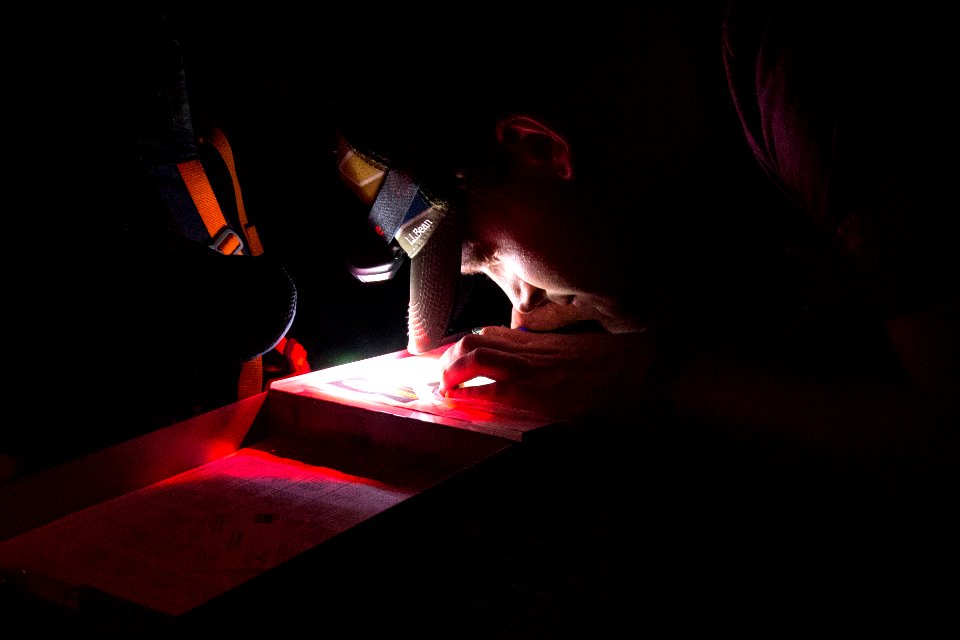 Bethany Beach Firefly Survey - 2019