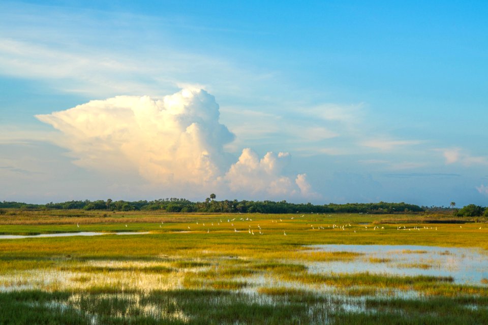 South from Tamiami Trail