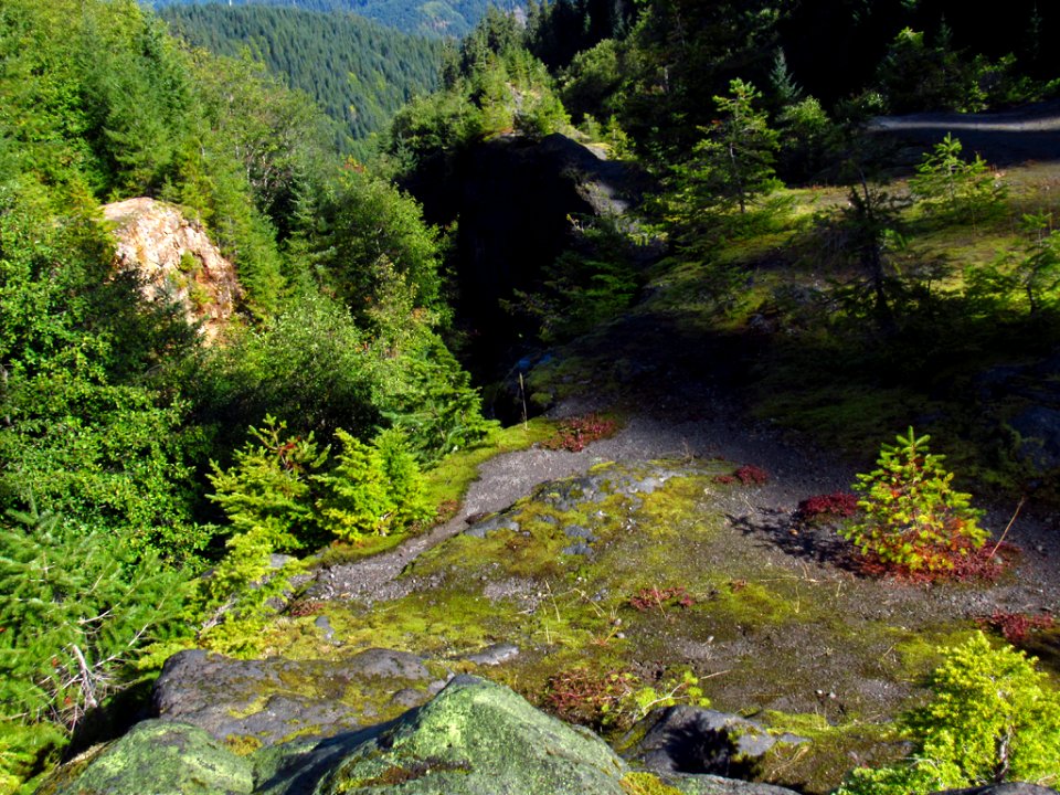 Lava Canyon Trail at Mt. St. Helens