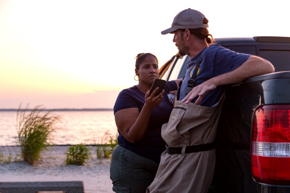 Bethany Beach Firefly Survey - 2019