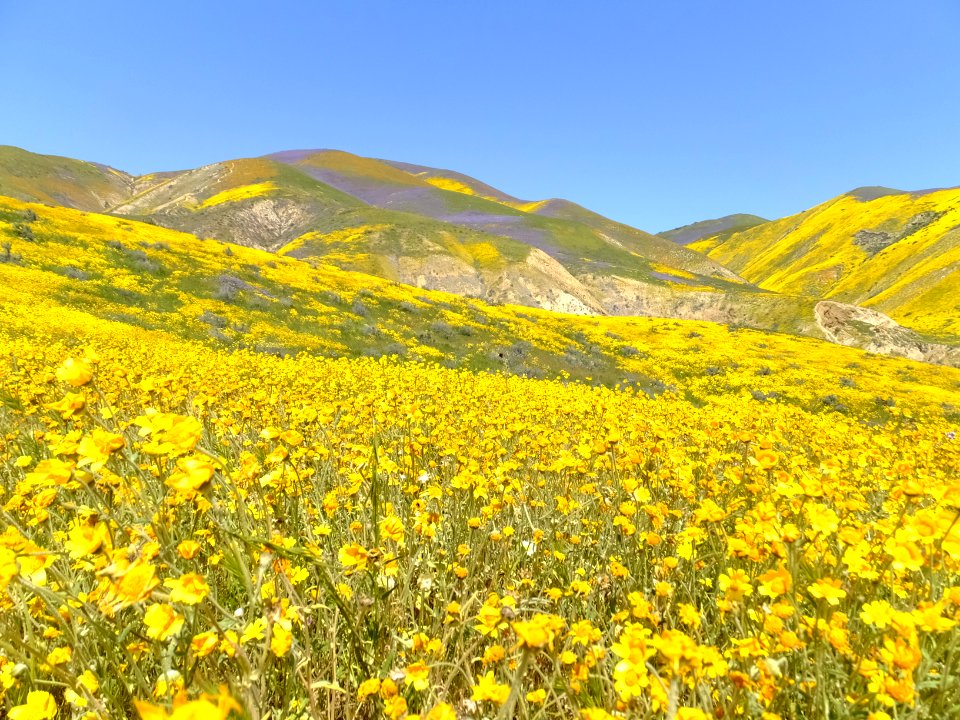 Carrizo Plain National Monument in Bakersfield Field Office