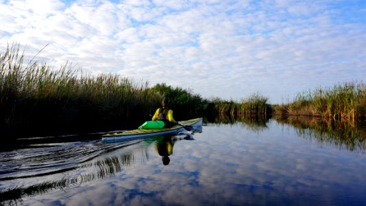 Turner River marsh