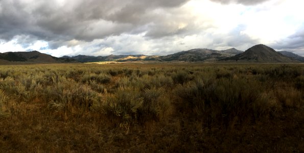 General, Eagle Lake Field Office