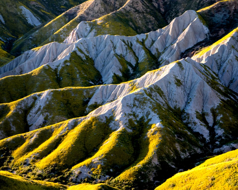 Super Bloom 2017 at Carrizo Plain National Monument