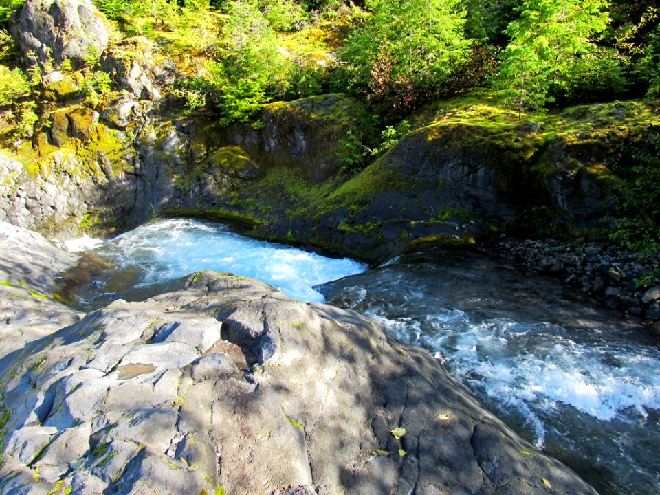 Lava Canyon Trail at Mt. St. Helens NM in WA