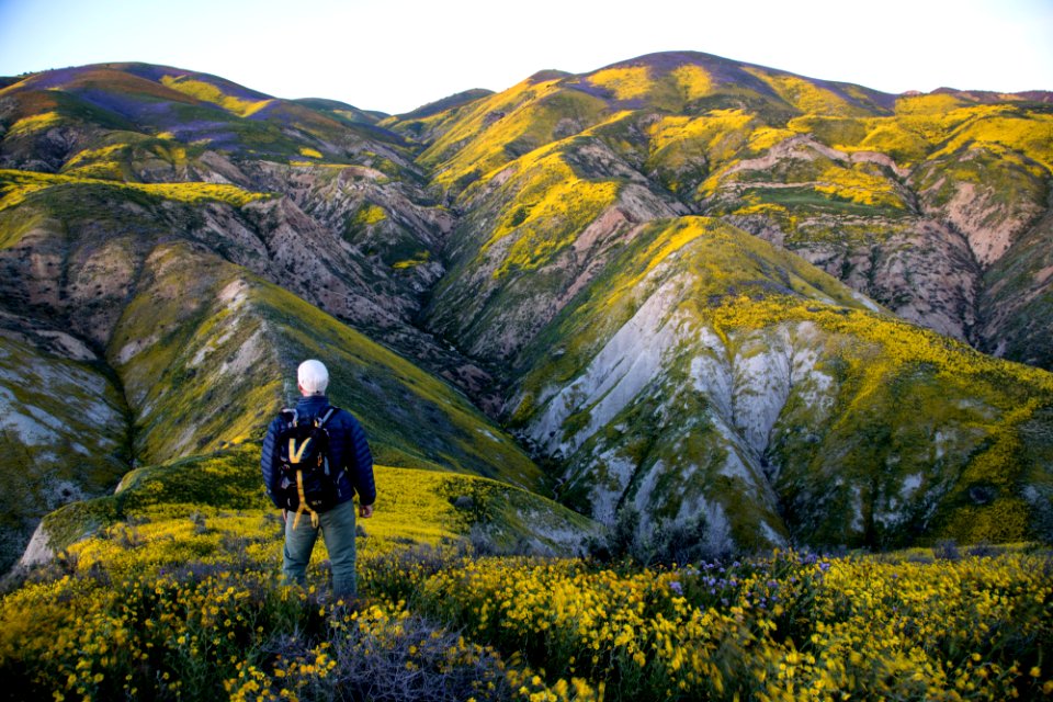 Super Bloom 2017 at Carrizo Plain National Monument