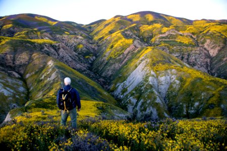 Super Bloom 2017 at Carrizo Plain National Monument photo