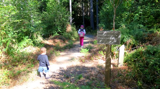 Exploring Wailaki Campground