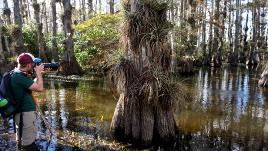 Photographing Gator Hook