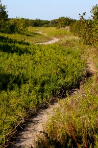 Coastal Prairie Trail EVER