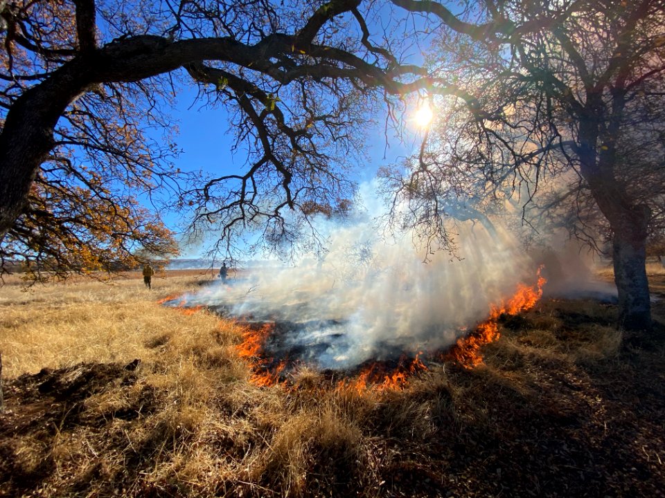 Prescribed burn near Paynes Creek Wetlands