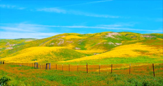 Highway 58 Leaving Carrizo Plain by Ester Livinston