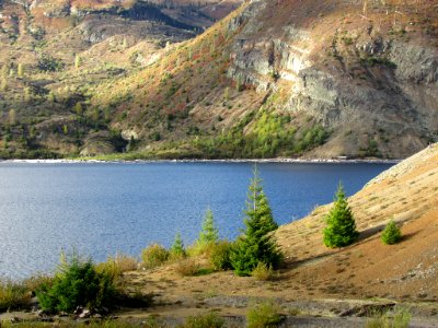 Spirit Lake at Mt. St. Helens NM in Washington