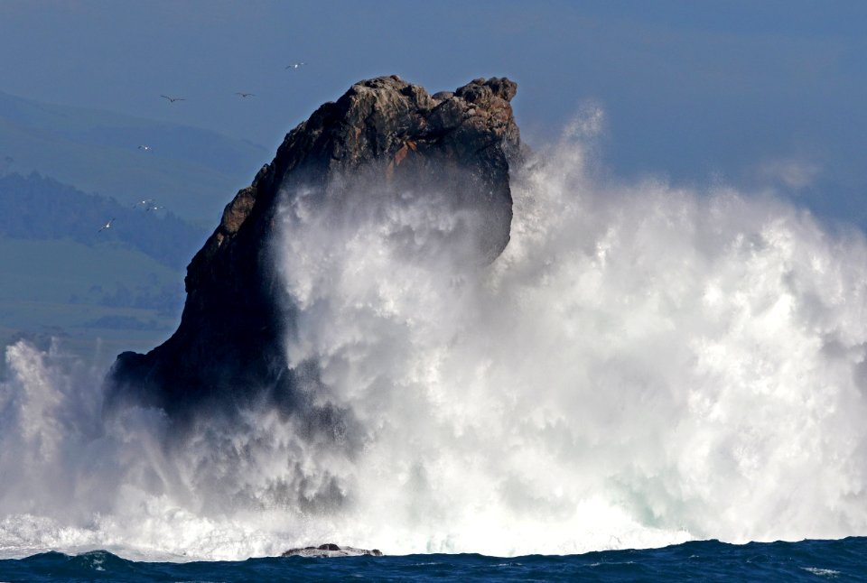 Piedras Blancas Light Station Outstanding Natural Area