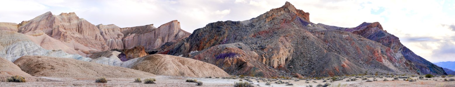 China Ranch Date Farm Trail in Amargosa River valley.