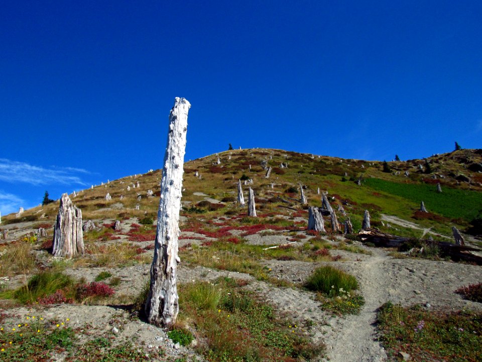 Mt. Margaret Backcountry in Washington
