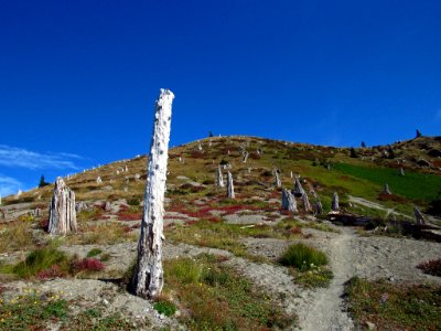 Mt. Margaret Backcountry in Washington