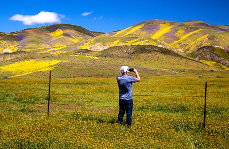 April 2019 Wildflowers at Carrizo Plain National Monument