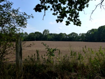 Landschaft bei Feldhusen III