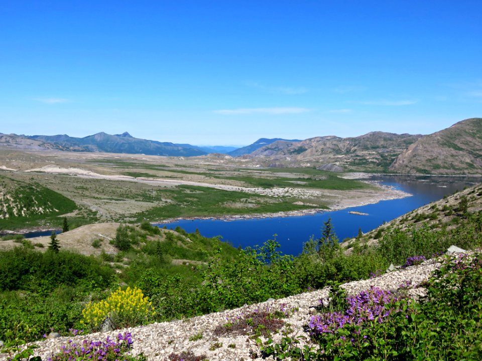 Windy Ridge at Mt. St. Helens NM in Washington