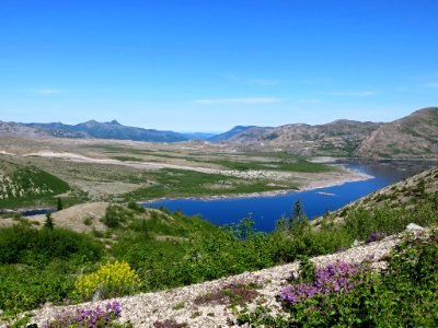 Windy Ridge at Mt. St. Helens NM in Washington