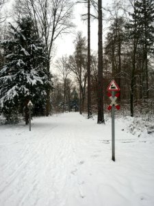 Achtung Bähnle kreuzt ...
