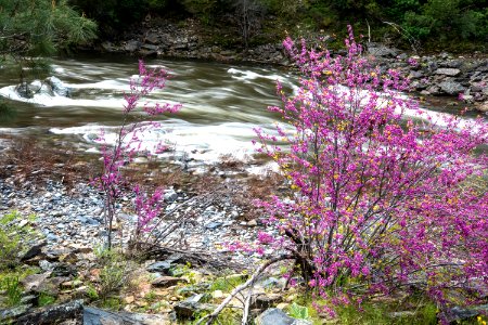 Merced Wild and Scenic River