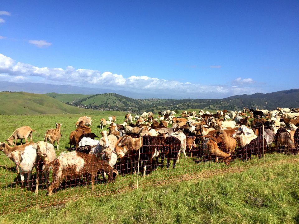 Fort Ord National Monument