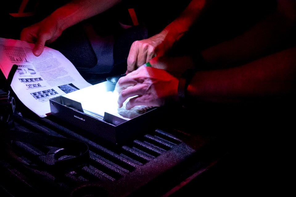 Bethany Beach Firefly Survey - 2019