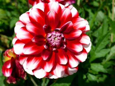 P1010138