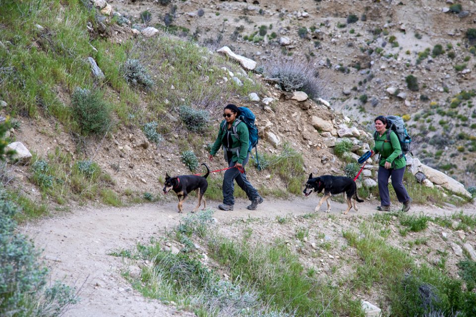 Pacific Crest Trail