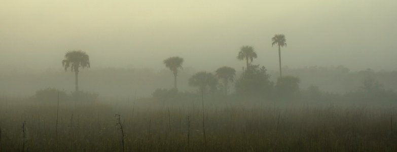 Foggy Morning Bear Island photo