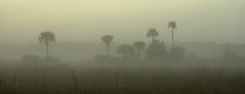 Foggy Morning Bear Island