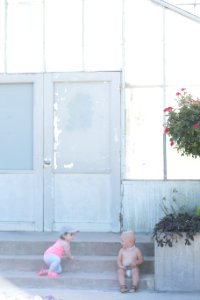 20160712- MG 9824