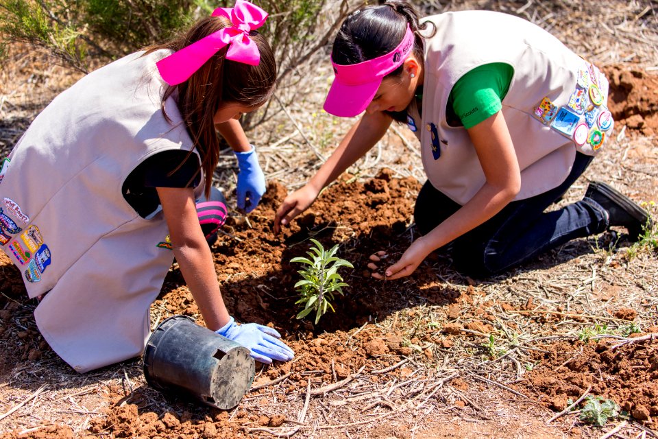 San Diego Bay National Wildlife Refuge - Wilkweed Planting Event
