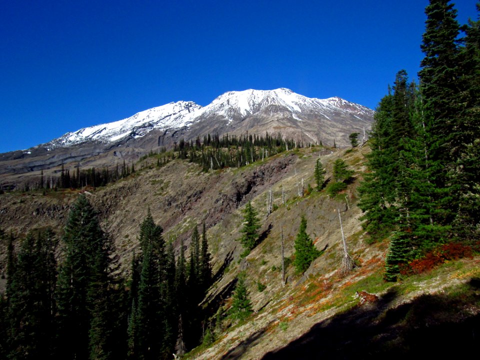 Ape Canyon Trail at Mt. St. Helens